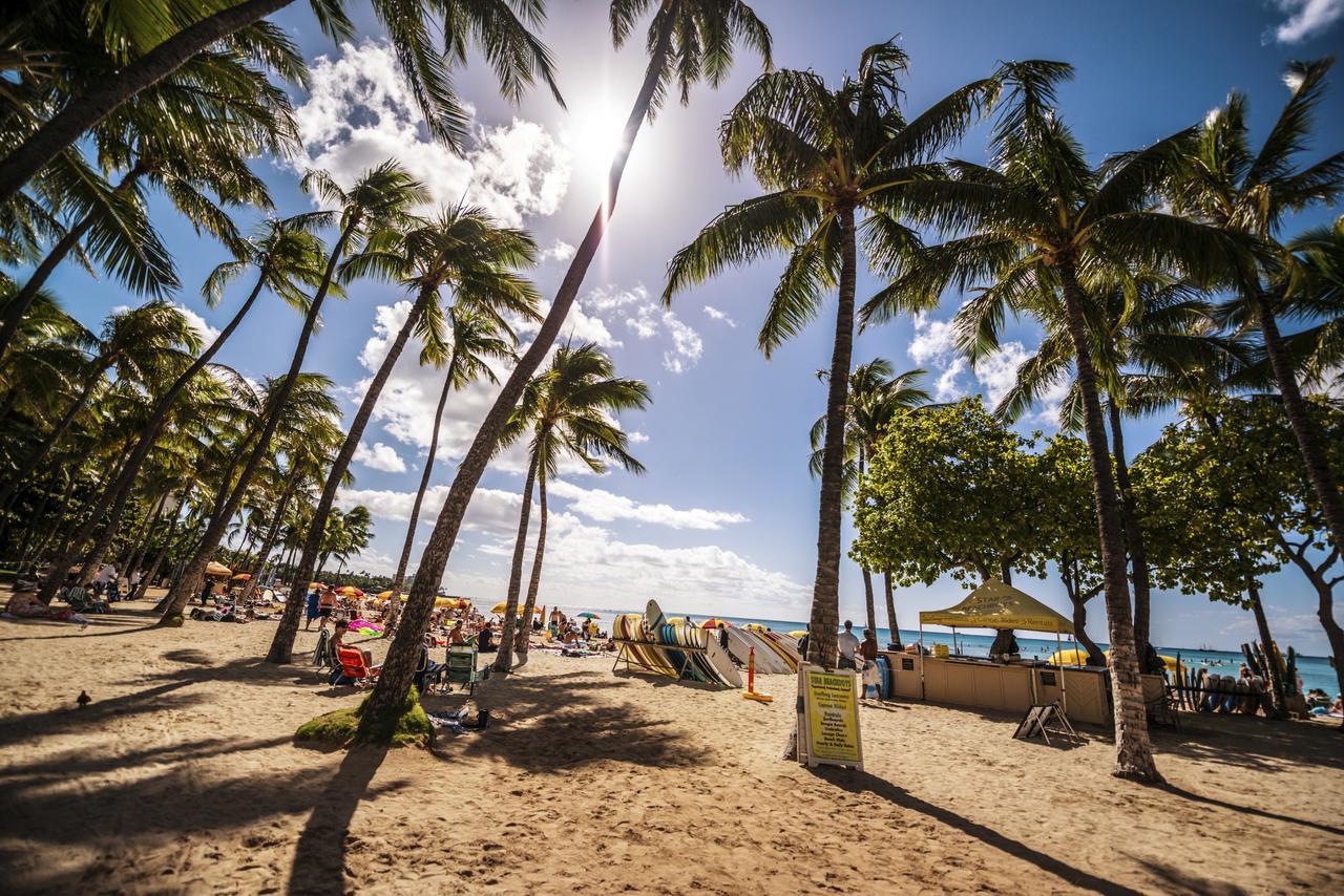 Beautiful 1br, Steps To Waikiki And Parking Apartment
