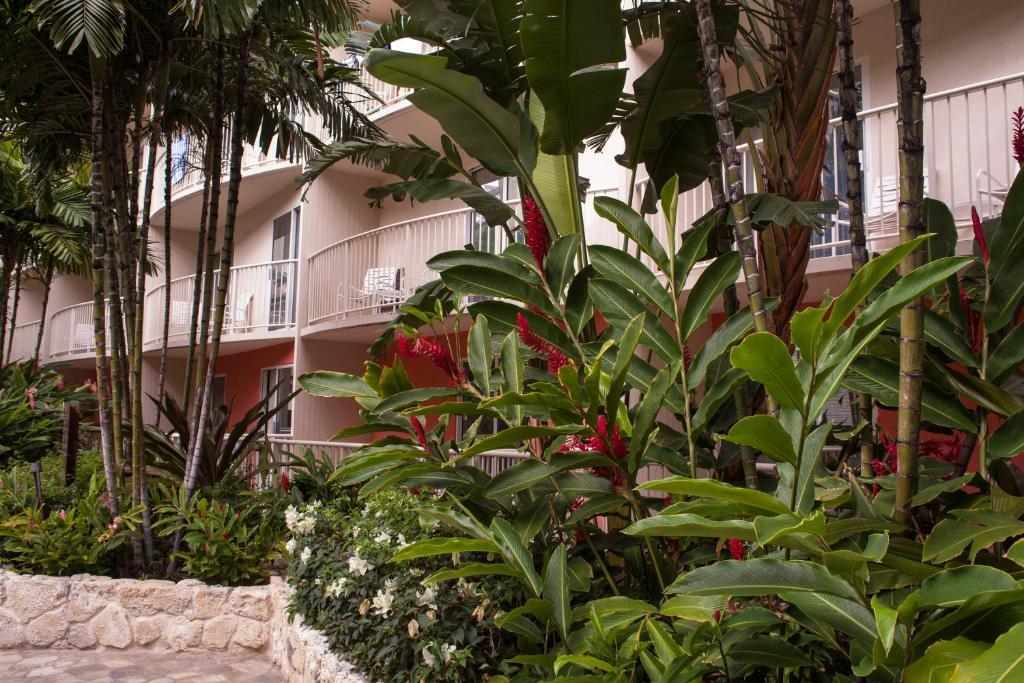 Club Wyndham At Waikiki Walk Hotel