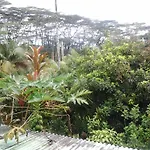 Lava Tree Tropic Inn