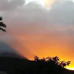 Paradise Palms B & B