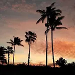 Paradise Palms B & B
