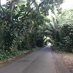 Oceanfront Cottage Near The Kalapana Lava Flows