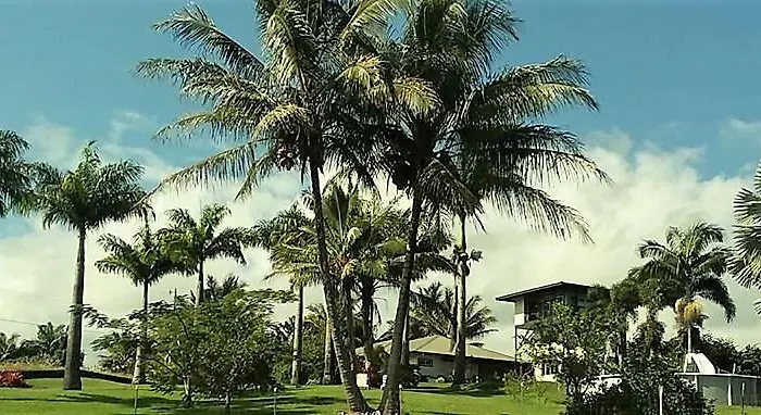 Island Goode\'S - Luxury Adult Only Accommodation Near Hilo