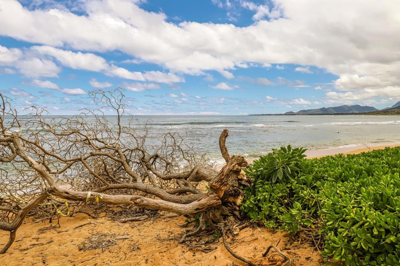 Apartment Islander On The Kapa'a