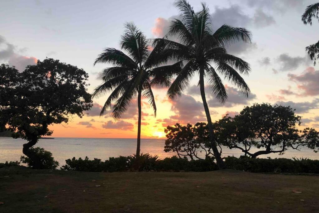 Apartment Hidden Gem! Turtle Bay Hideaway-85