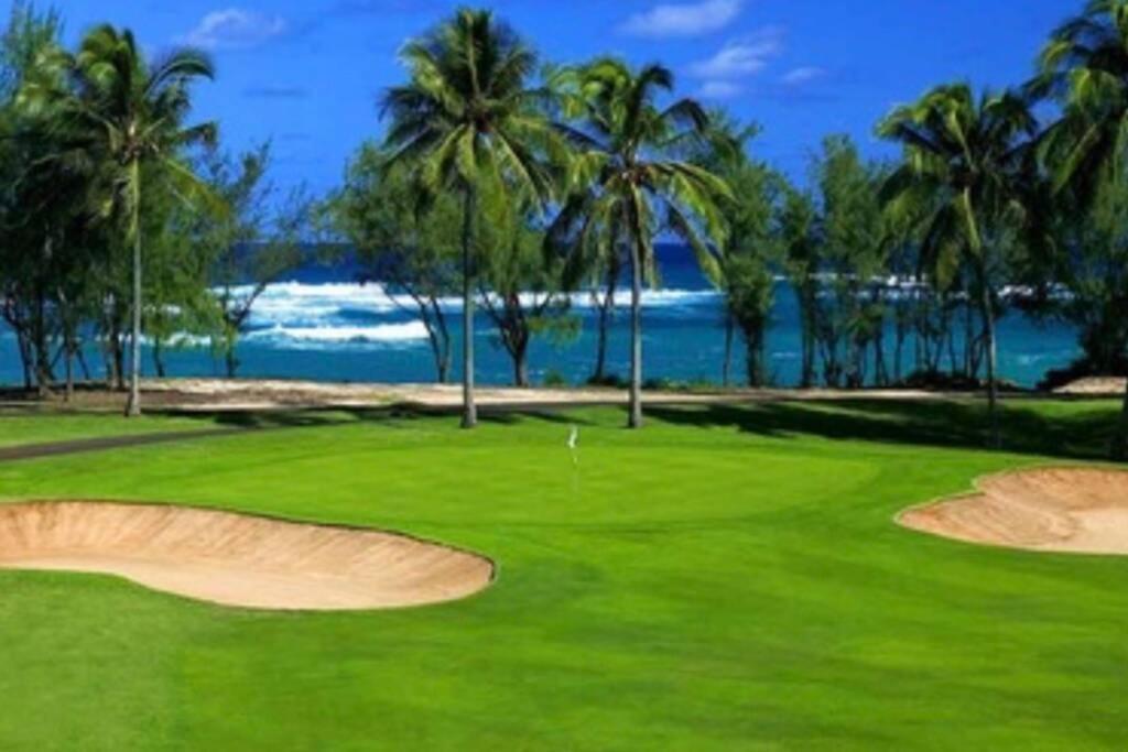 Apartment Hidden Gem! Turtle Bay Hideaway-85