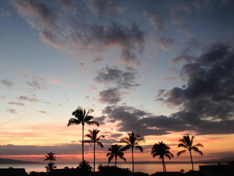 Wailea Sunset - Ekolu #607