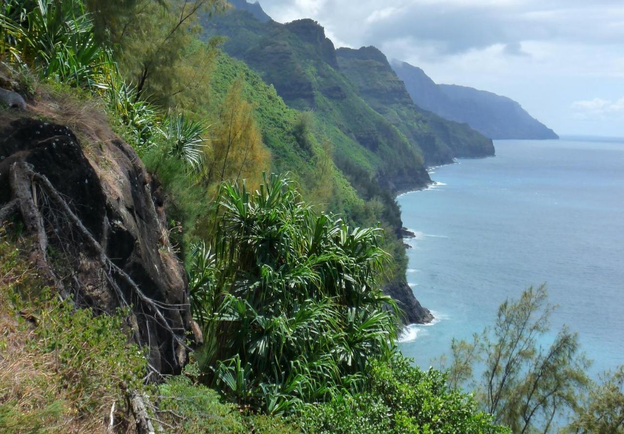 Kiahuna Plantation 96, Poipu Beach, Club Membership, Part Ocean View, Kids Toys Aparthotel