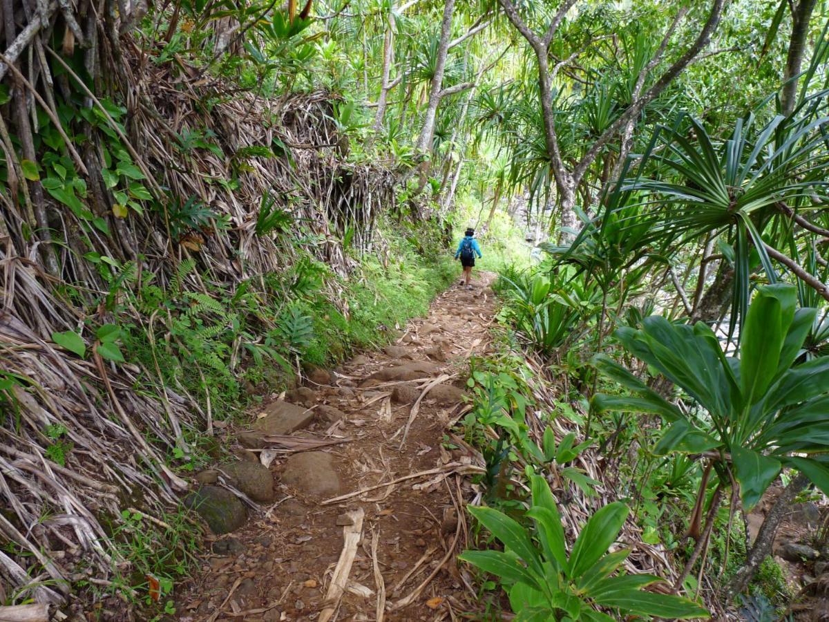 Kiahuna Plantation 96, Poipu Beach, Club Membership, Part Ocean View, Kids Toys Aparthotel Koloa