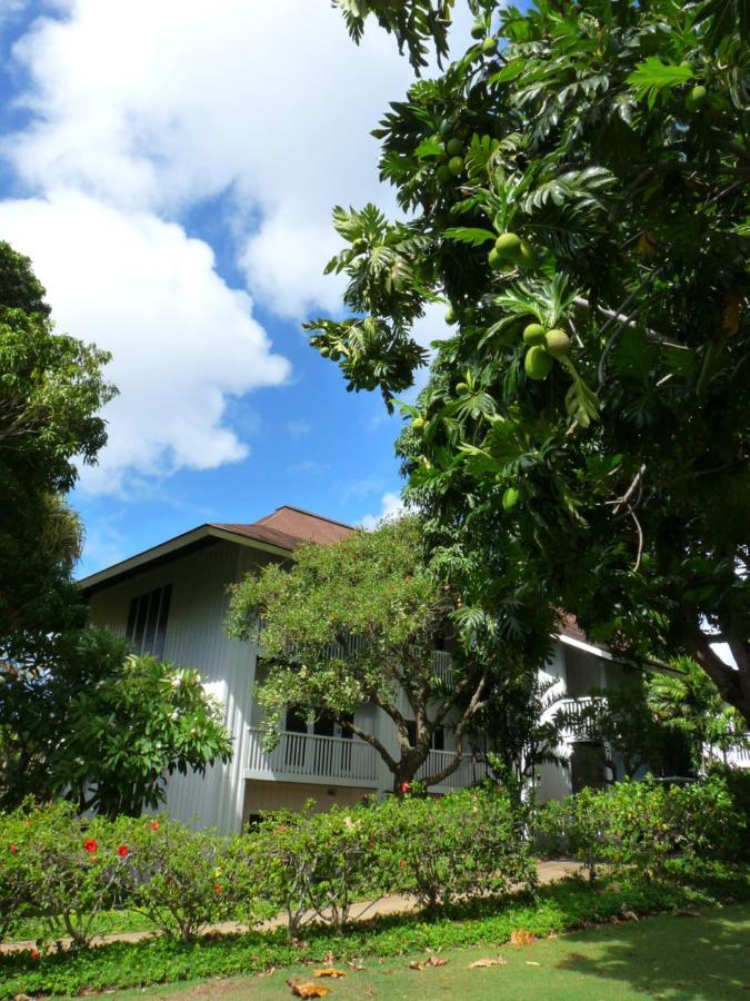 Kiahuna Plantation 96, Poipu Beach, Club Membership, Part Ocean View, Kids Toys Aparthotel Koloa