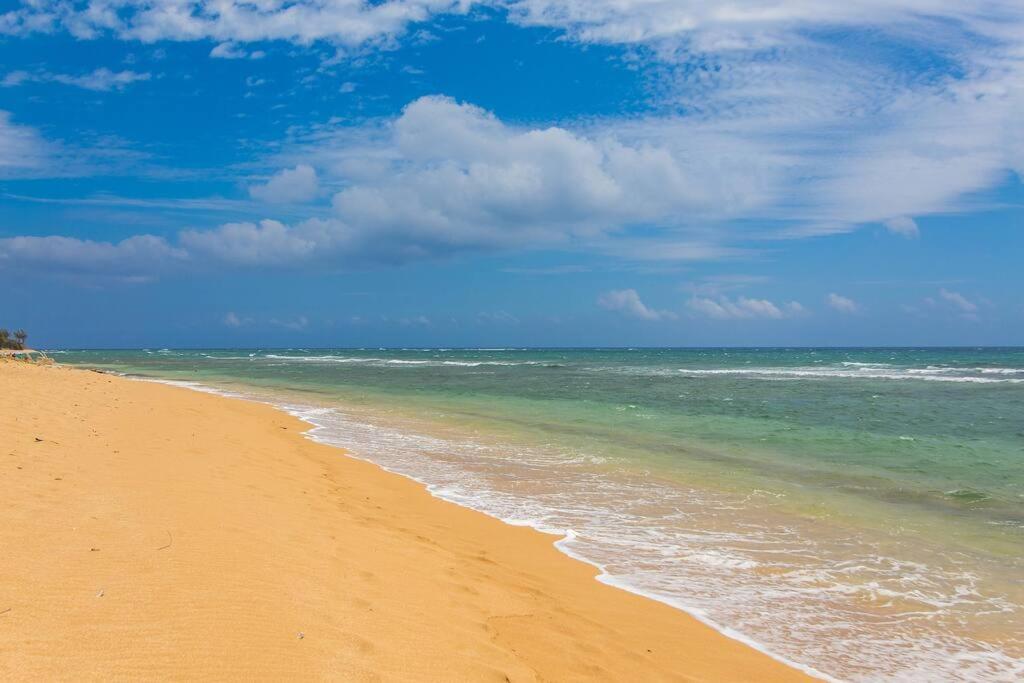 Apartment Islander Ocean # 166 Kapa'a