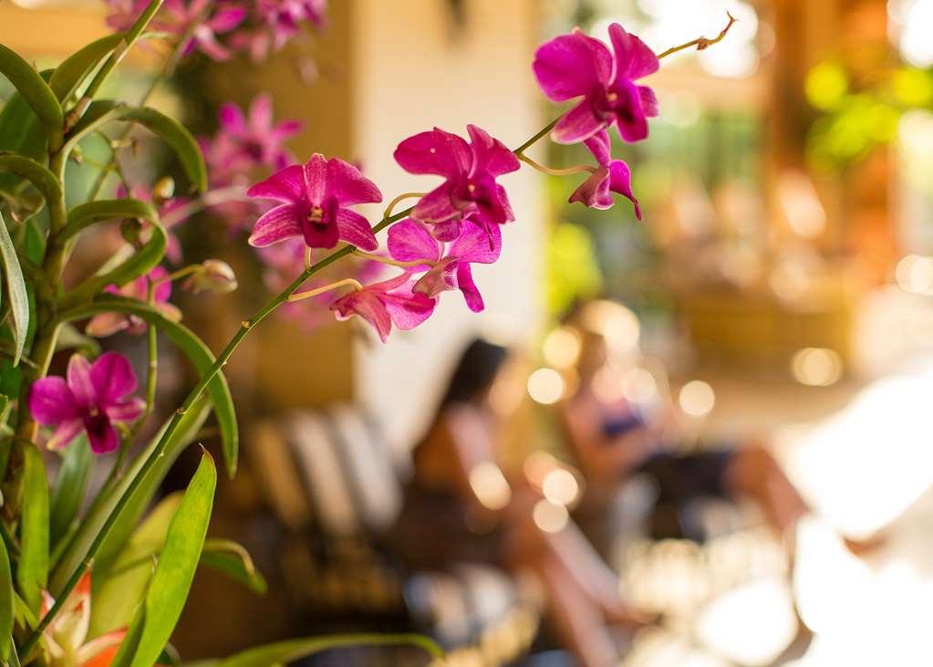Hotel Maui Coast Kihei
