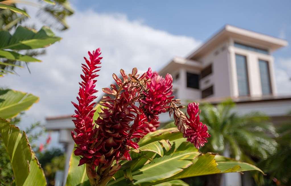 Maui Coast 3* Kihei