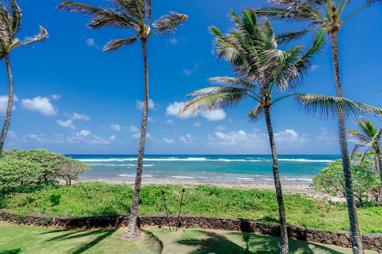 Turtle Bay Apartment Kahuku