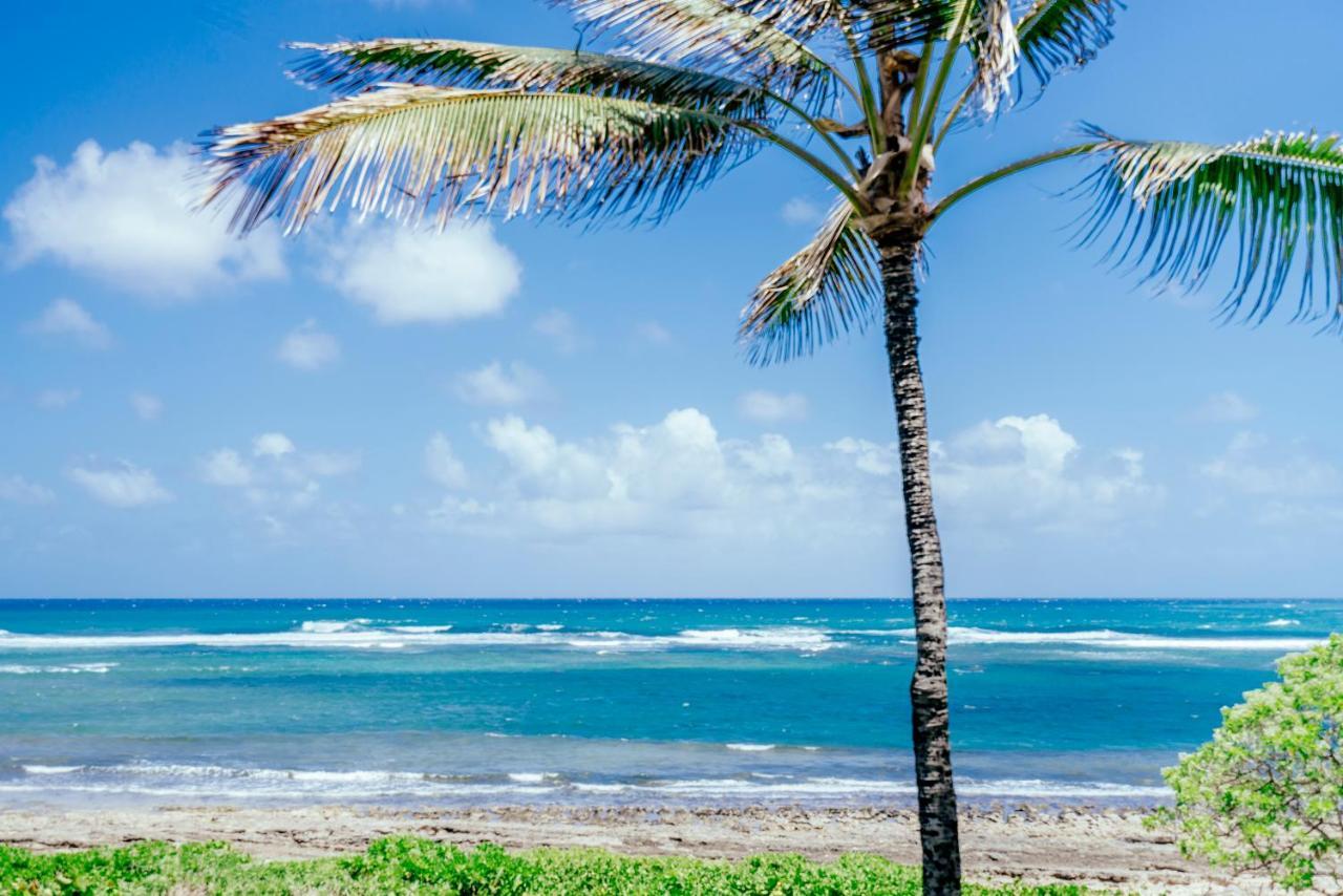 Turtle Bay