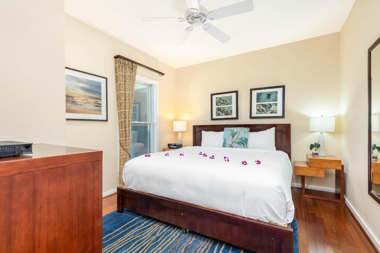 Apartment Turtle Bay