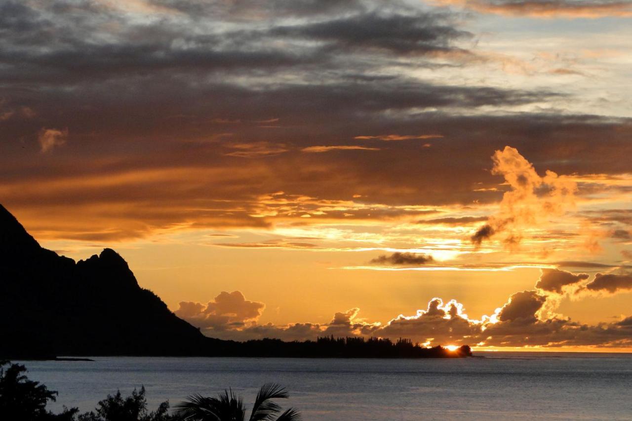 Hanalei Bay 4204