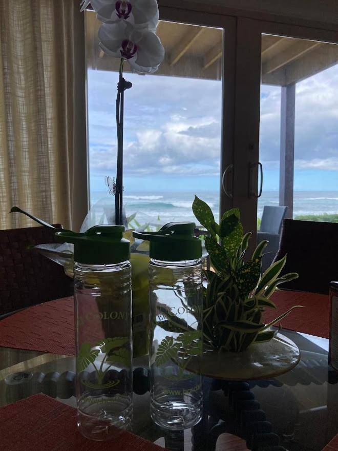 Colony Resort