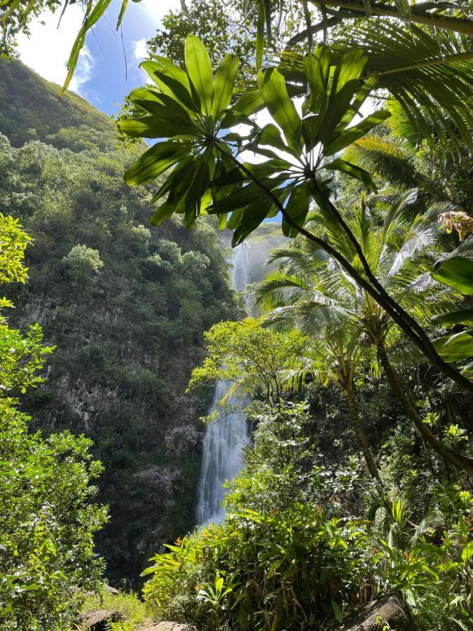 Ka Hale Kealoha *