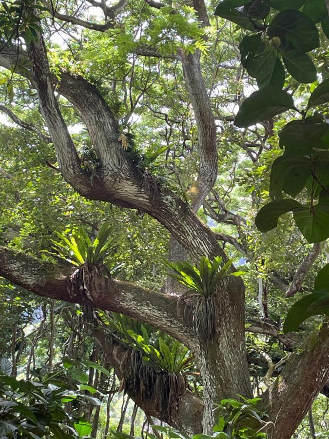 Ka Hale Kealoha * Kaunakakai