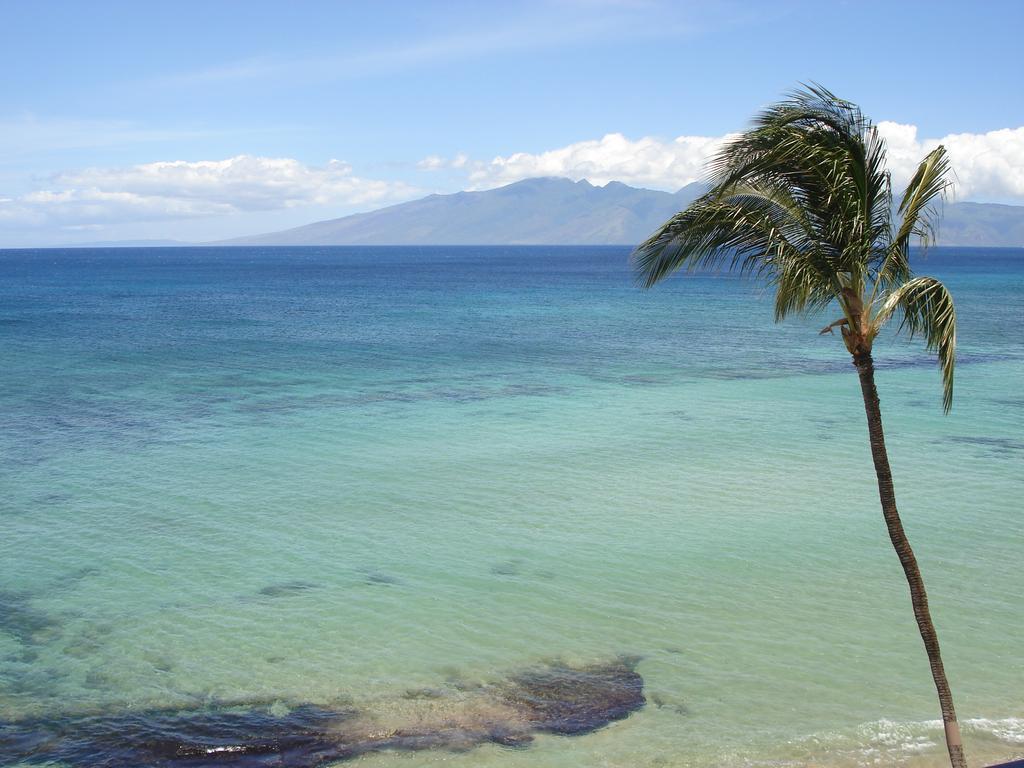 Kaleialoha 4*