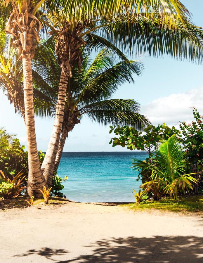 Breezy Beachfront Bali-style Haven 180 Degree Oceanview * Hau'ula