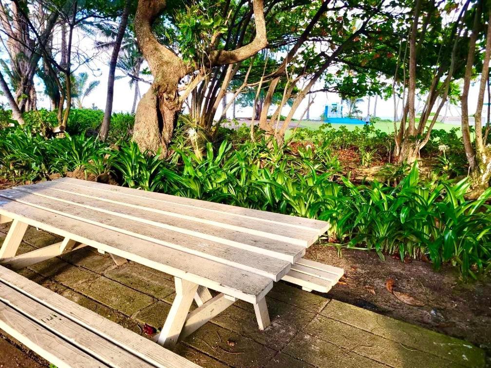 Breezy Beachfront Bali-style Haven 180 Degree Oceanview * Hau'ula