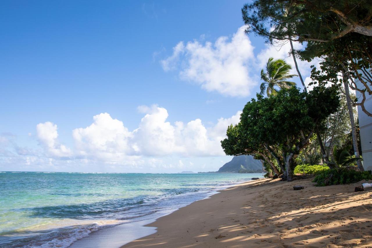 Apartment Breezy Beachfront Bali-style Haven 180 Degree Oceanview Hau'ula