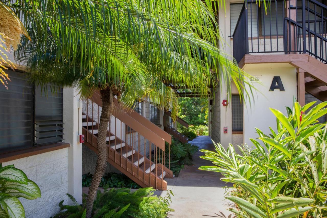 Apartment Beautiful 1 Bedroom With Ocean Views | Oceanfront *