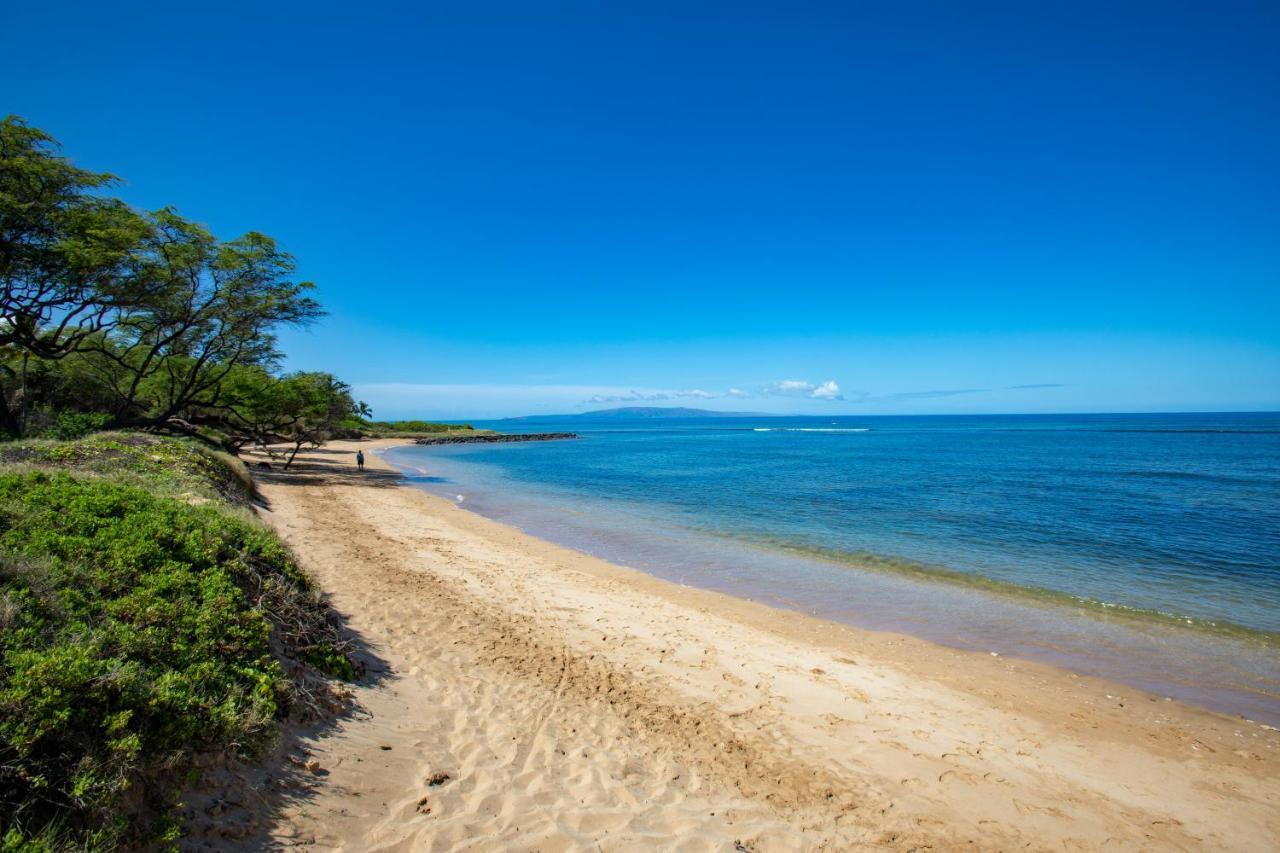 Beautiful 1 Bedroom With Ocean Views | Oceanfront *
