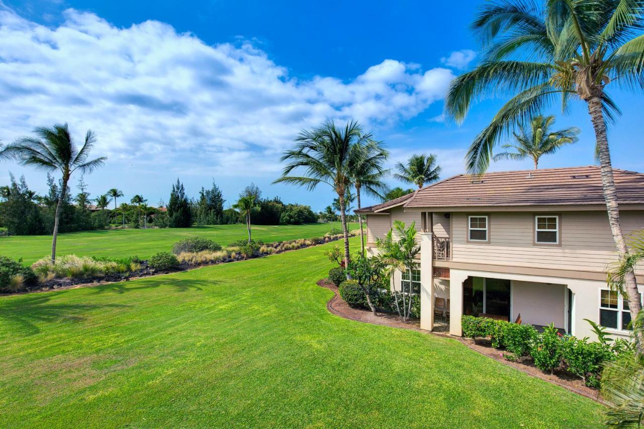 Colony #1104 * Waikoloa