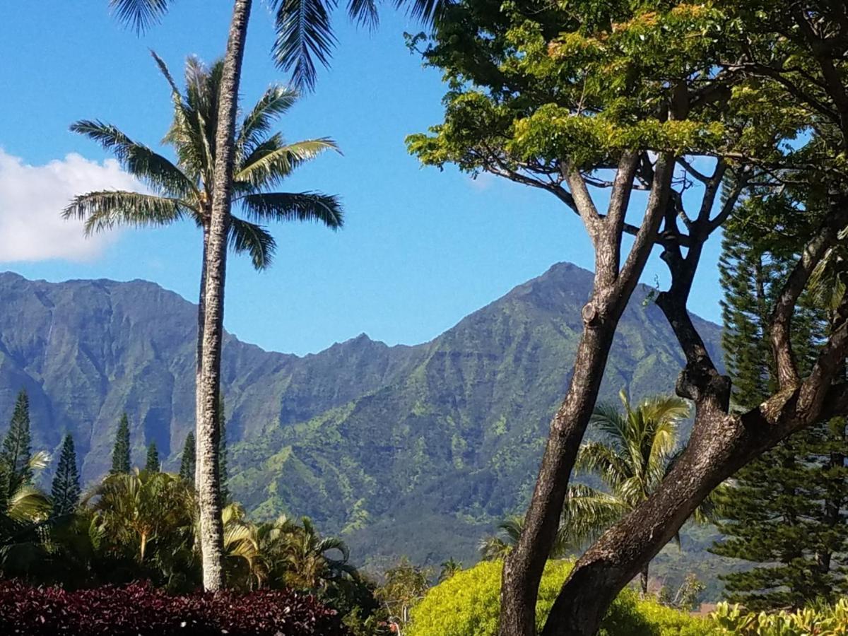 Puu Poa Ocean Bluff Condo, Incredible Views, Walk To Beaches, Pool & Tennis Apartment Princeville