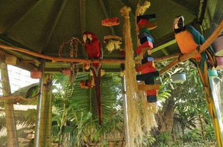 Wailuku Guesthouse