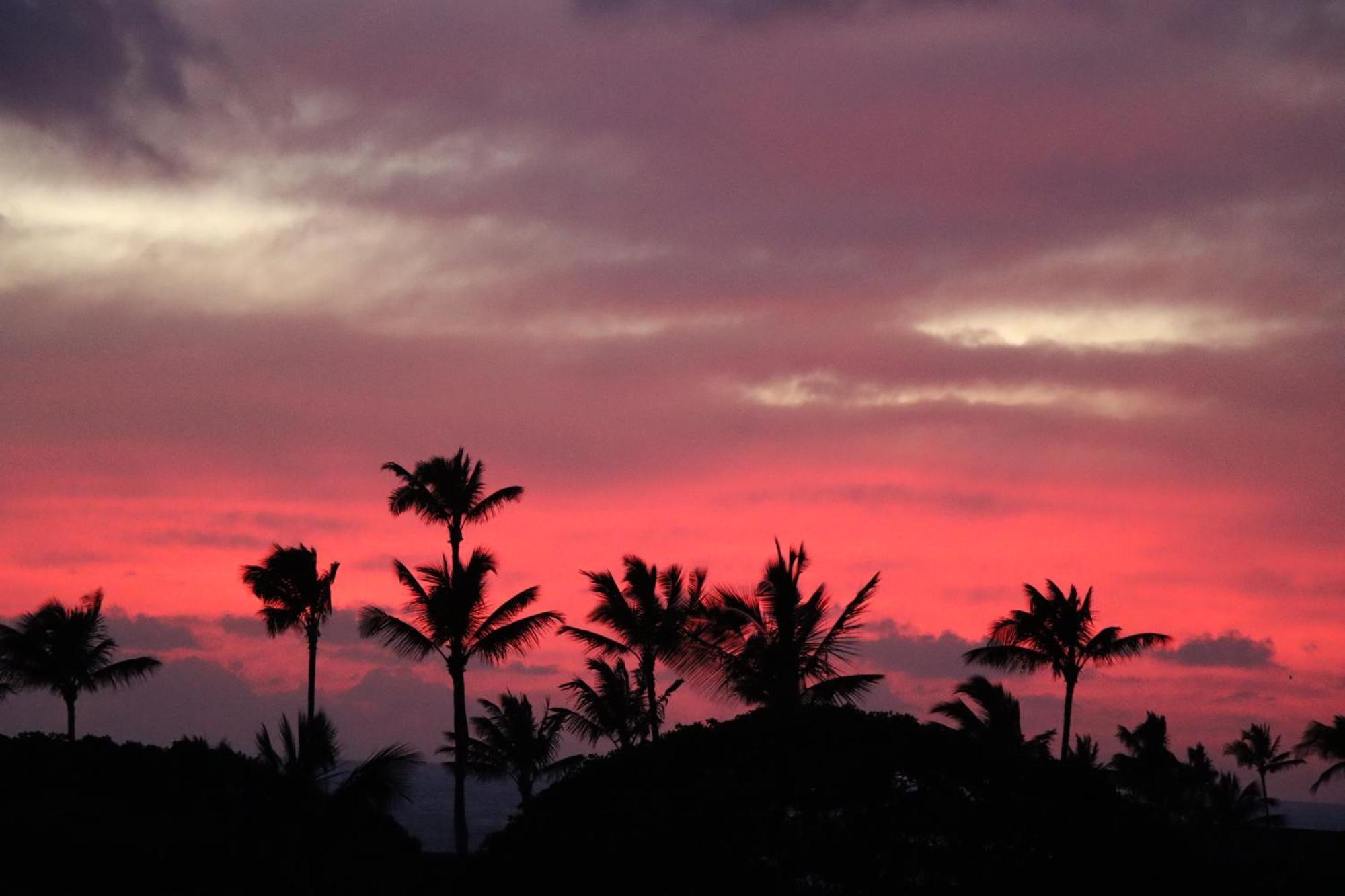 Aparthotel Kiahuna Plantation 96, Poipu Beach, Club Membership, Part Ocean View, Kids Toys