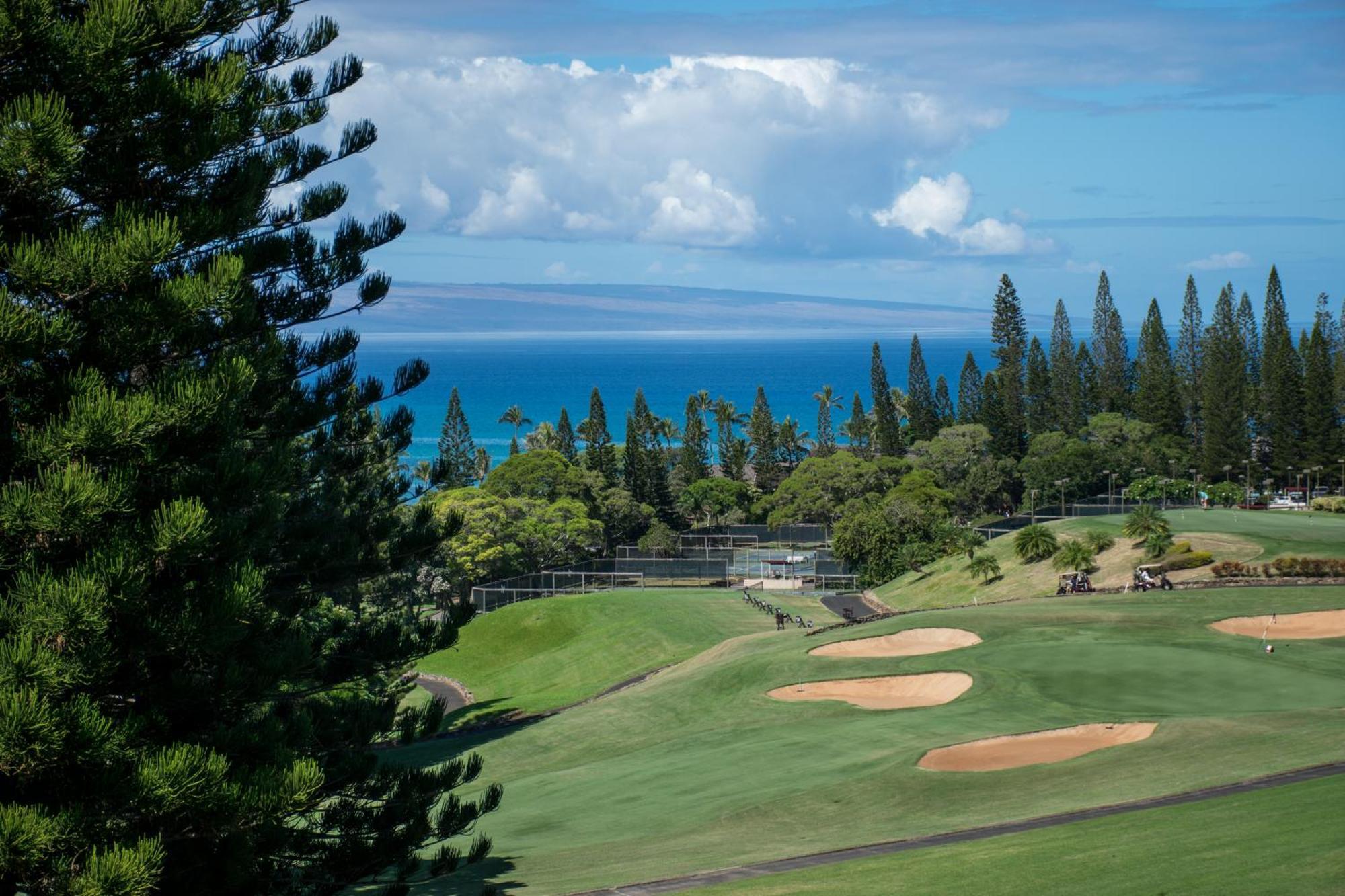 Kapalua Maui Apartment