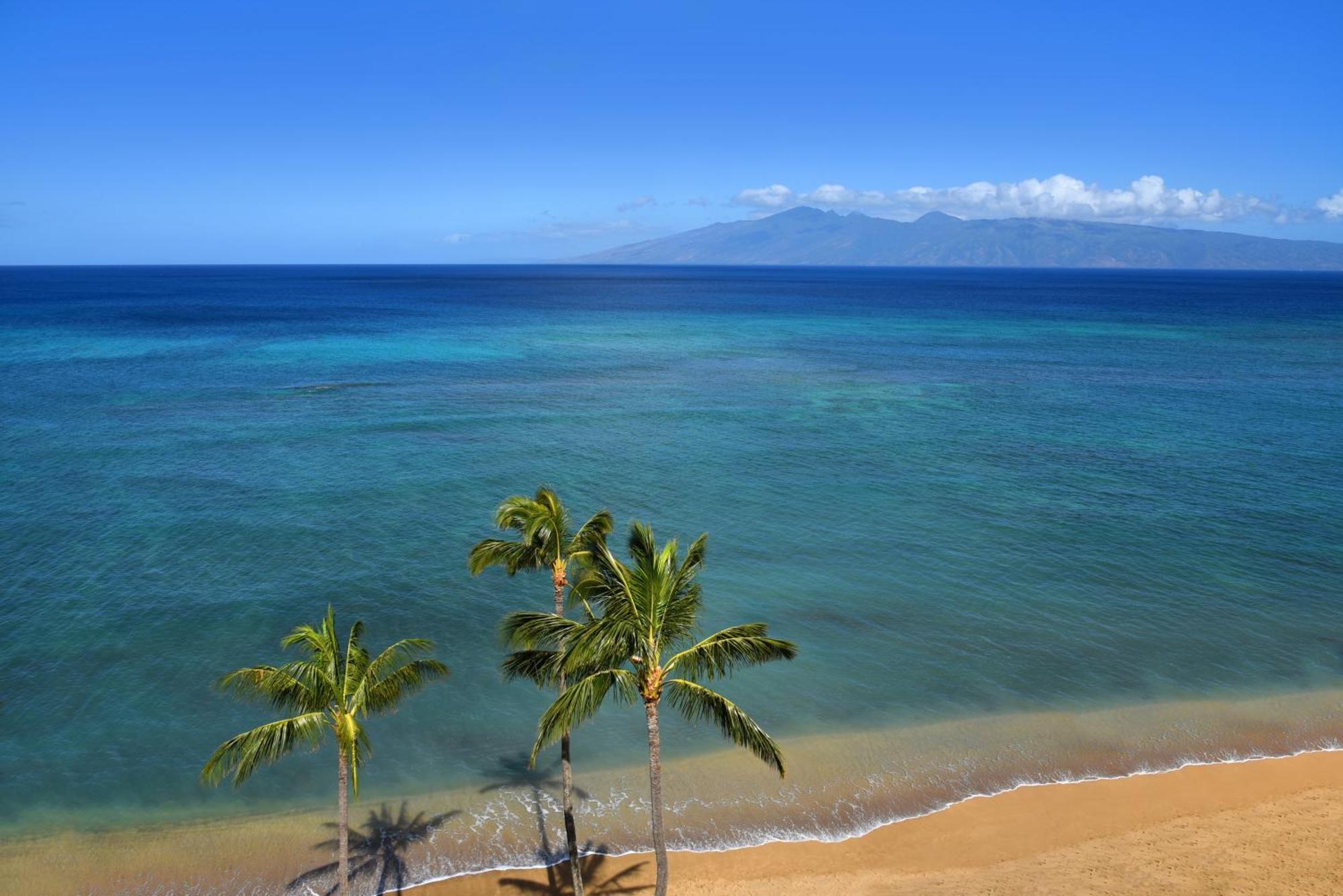Valley Isle #808 Apartment Kahana
