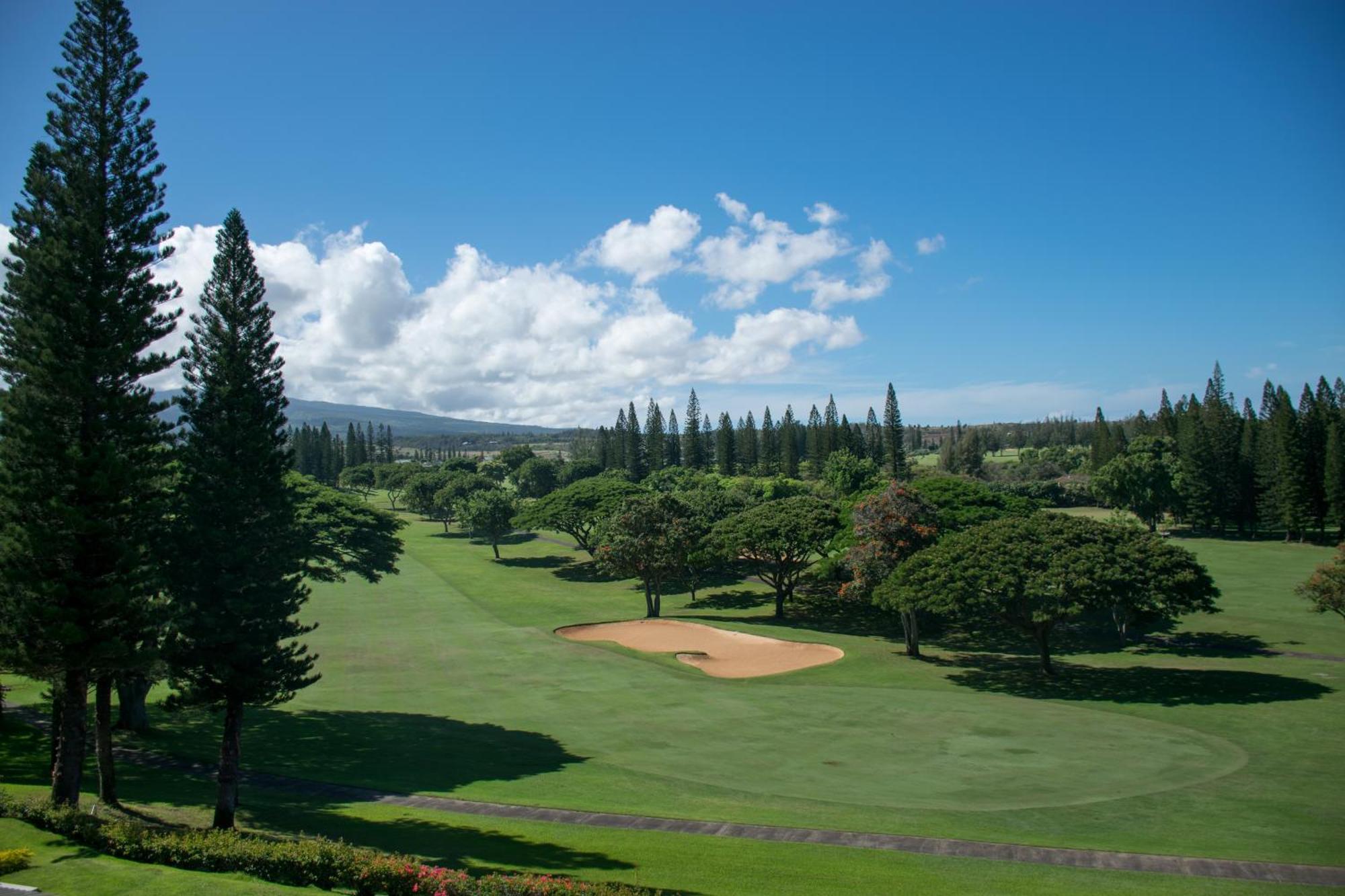 Kapalua Maui Apartment *