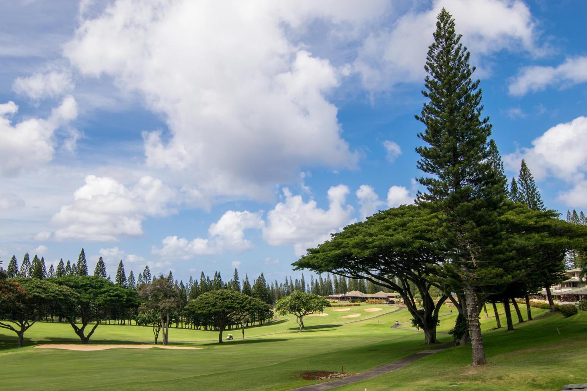 Apartment Kapalua Maui