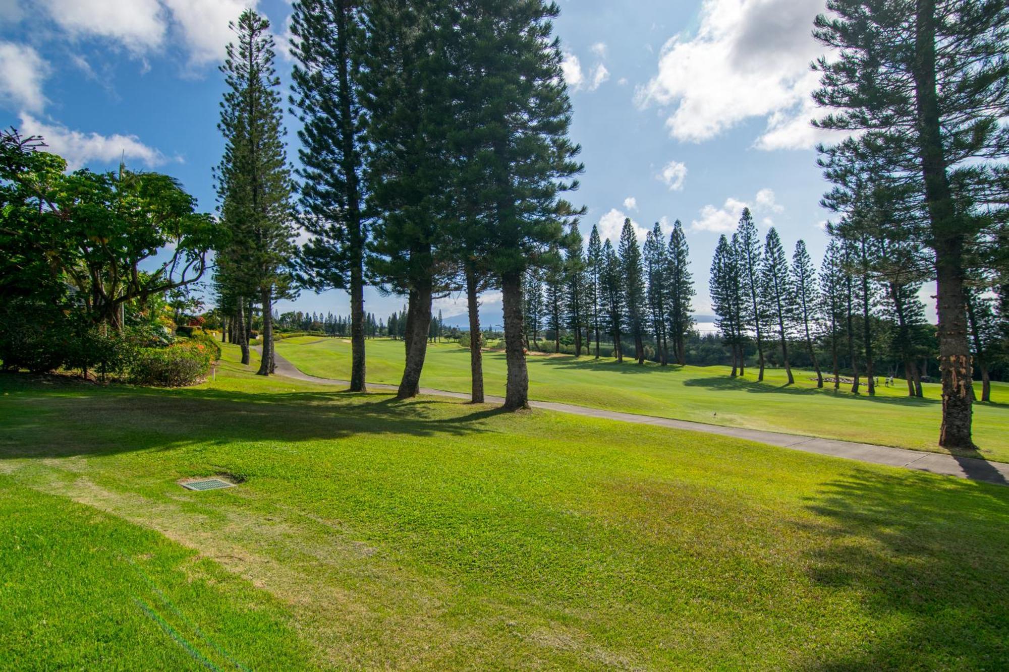 Kapalua Maui Apartment Lahaina