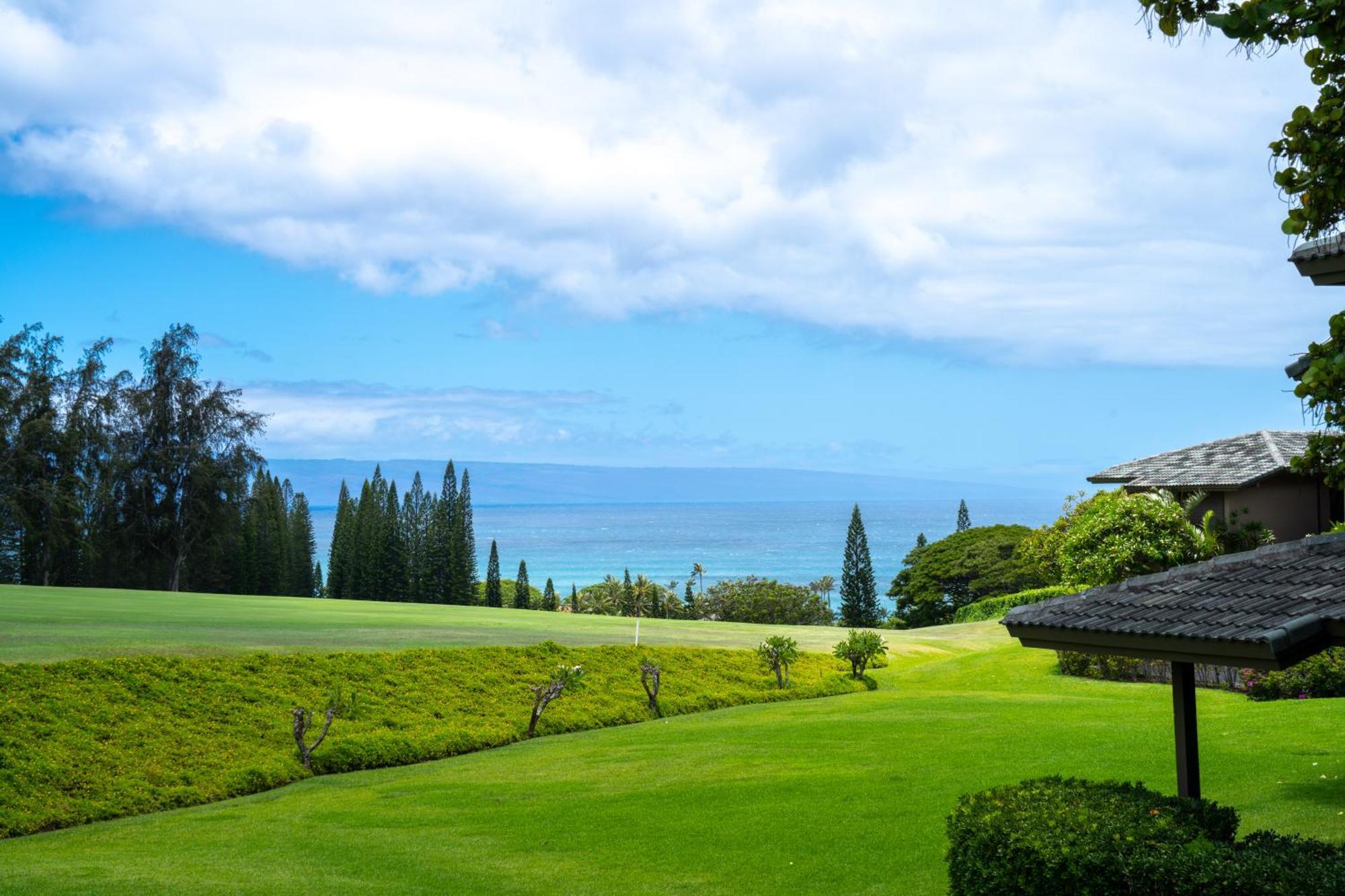 Kapalua Maui Apartment