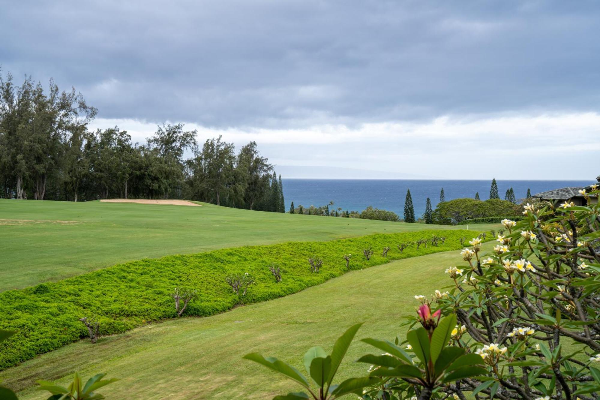Kapalua Maui