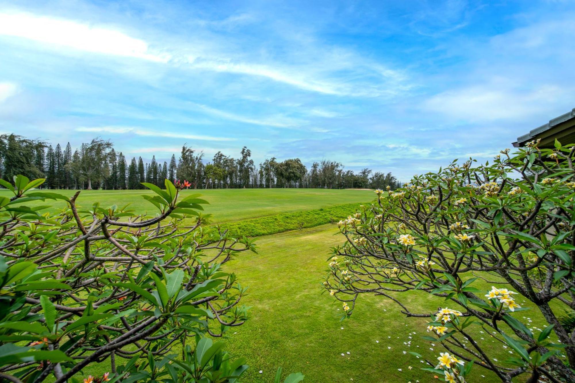 Kapalua Maui Lahaina