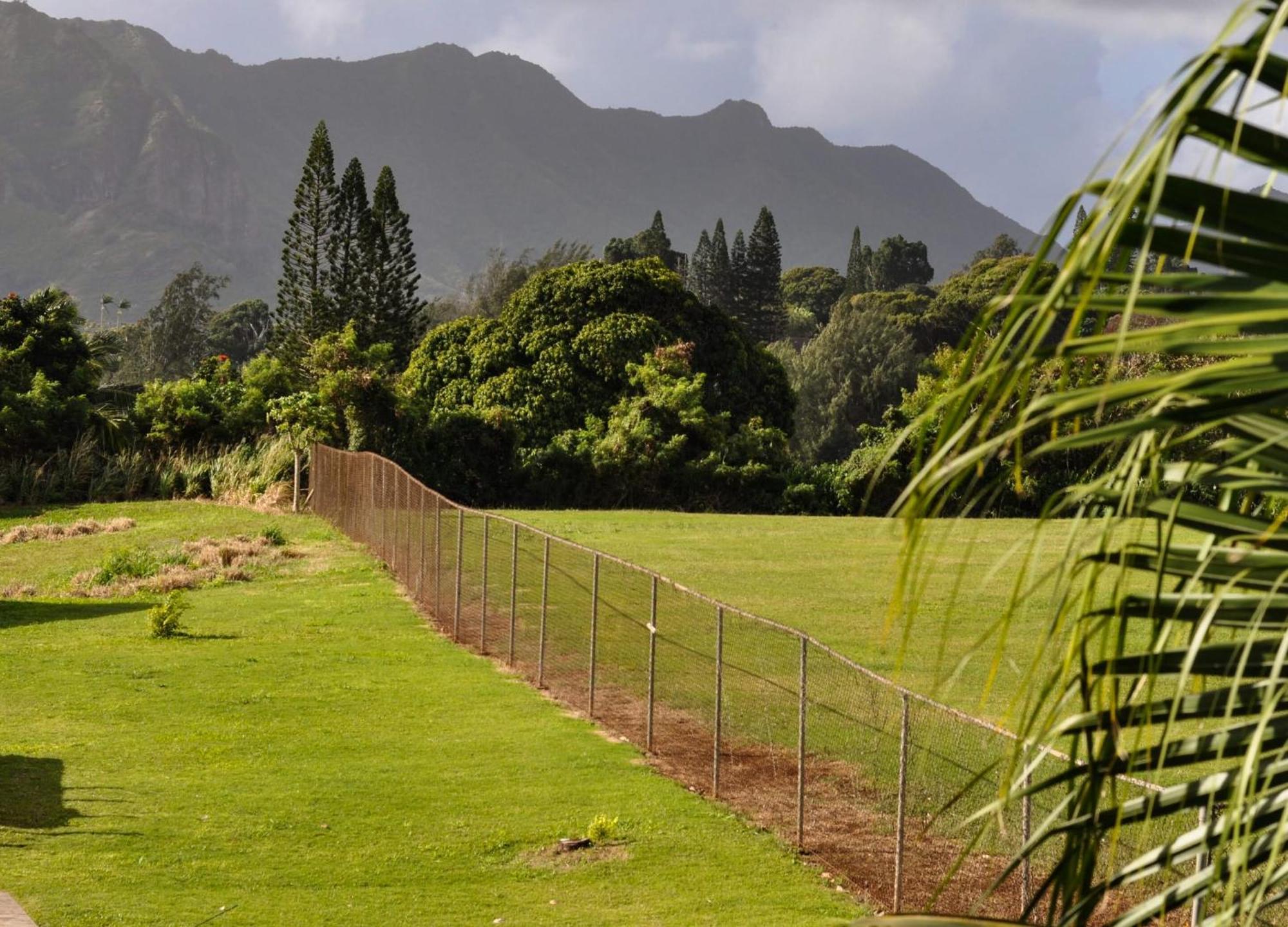 Kauai Palms Hotel