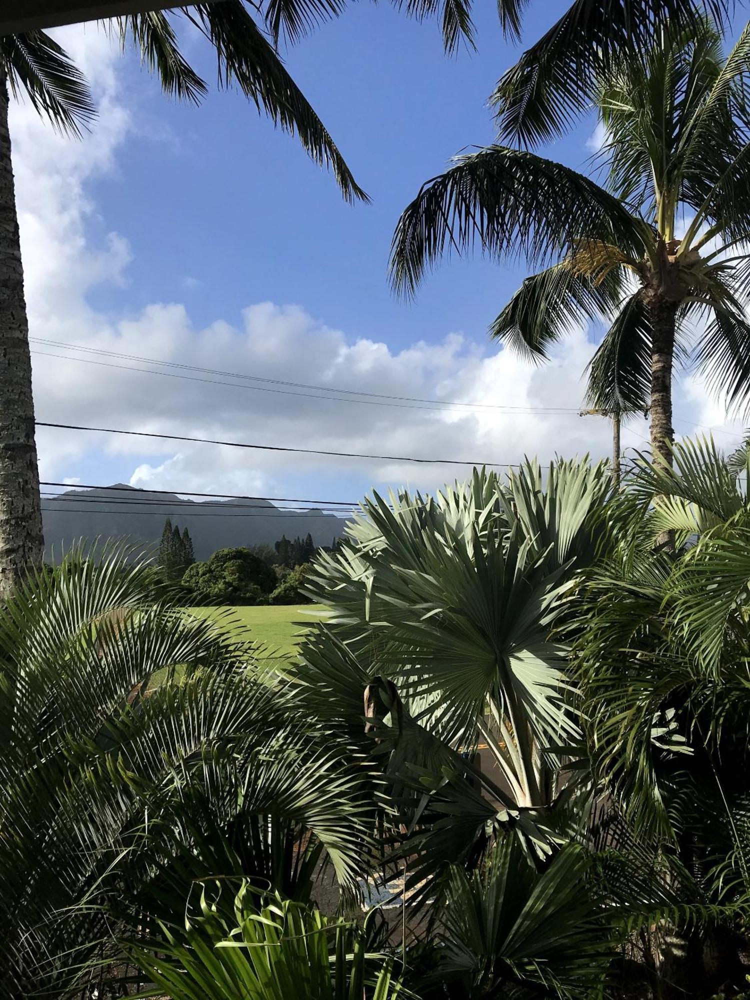 Kauai Palms Lihue
