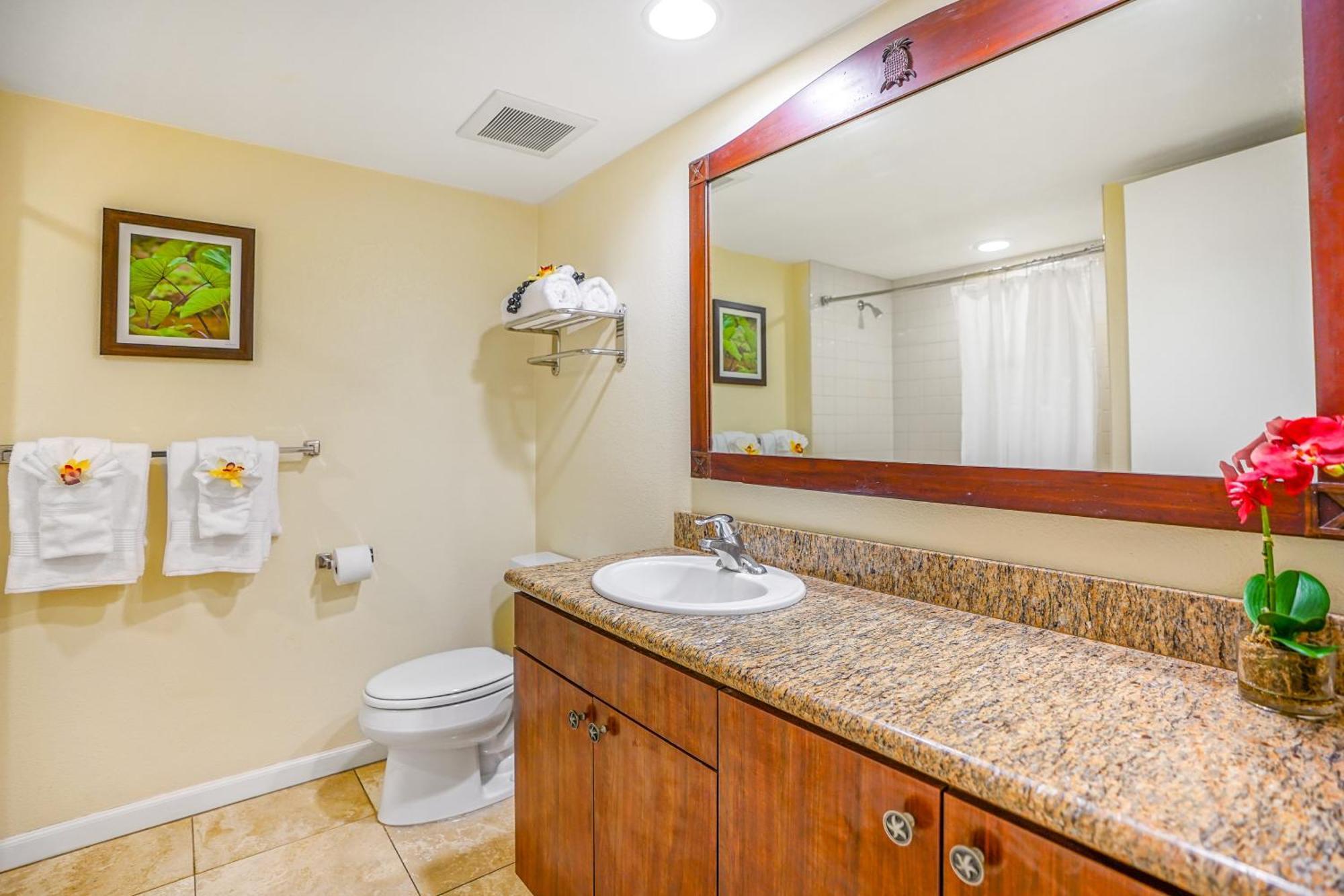 Apartment Islander On The Kapa'a