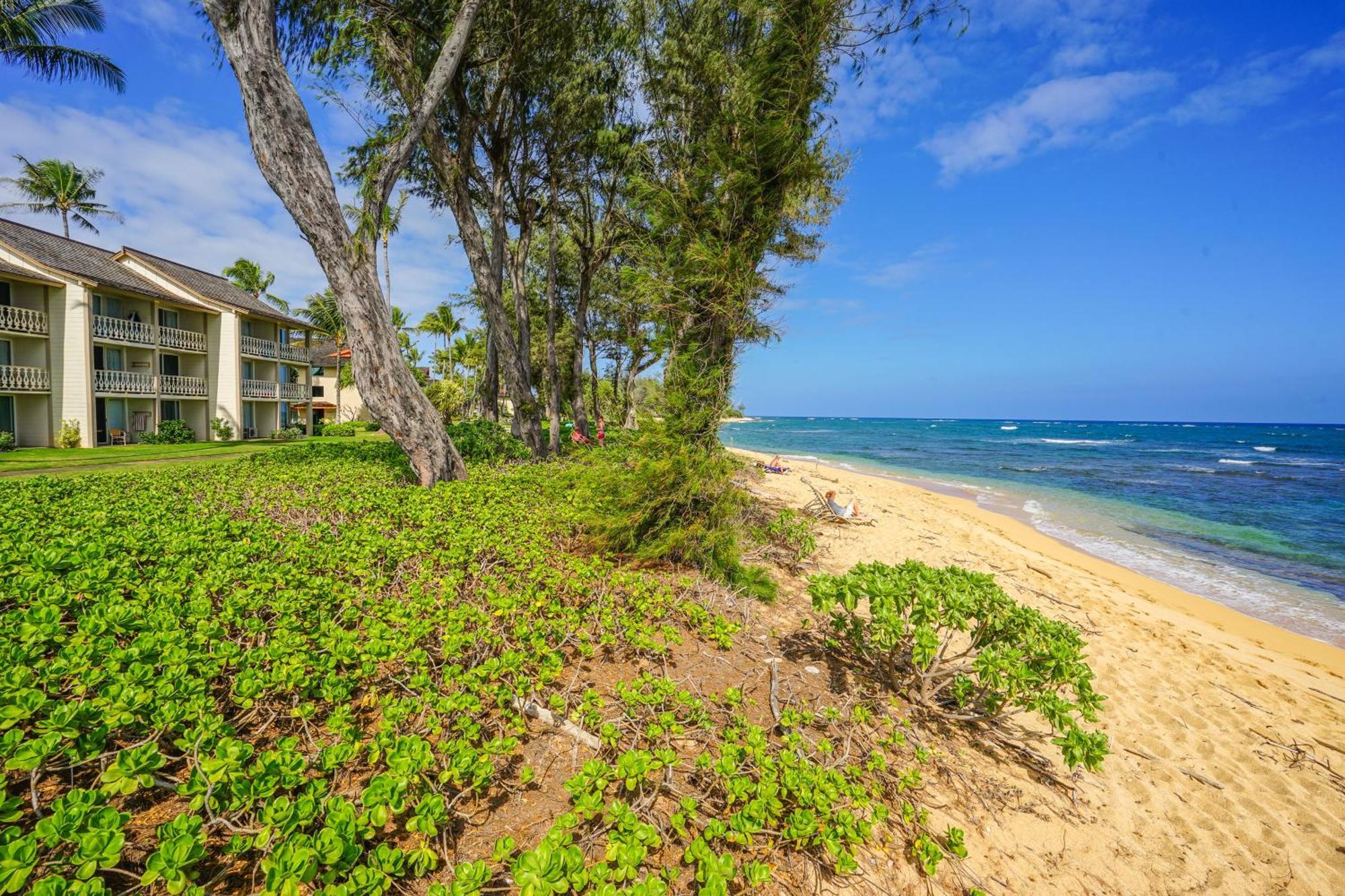 Apartment Islander On The Kapa'a