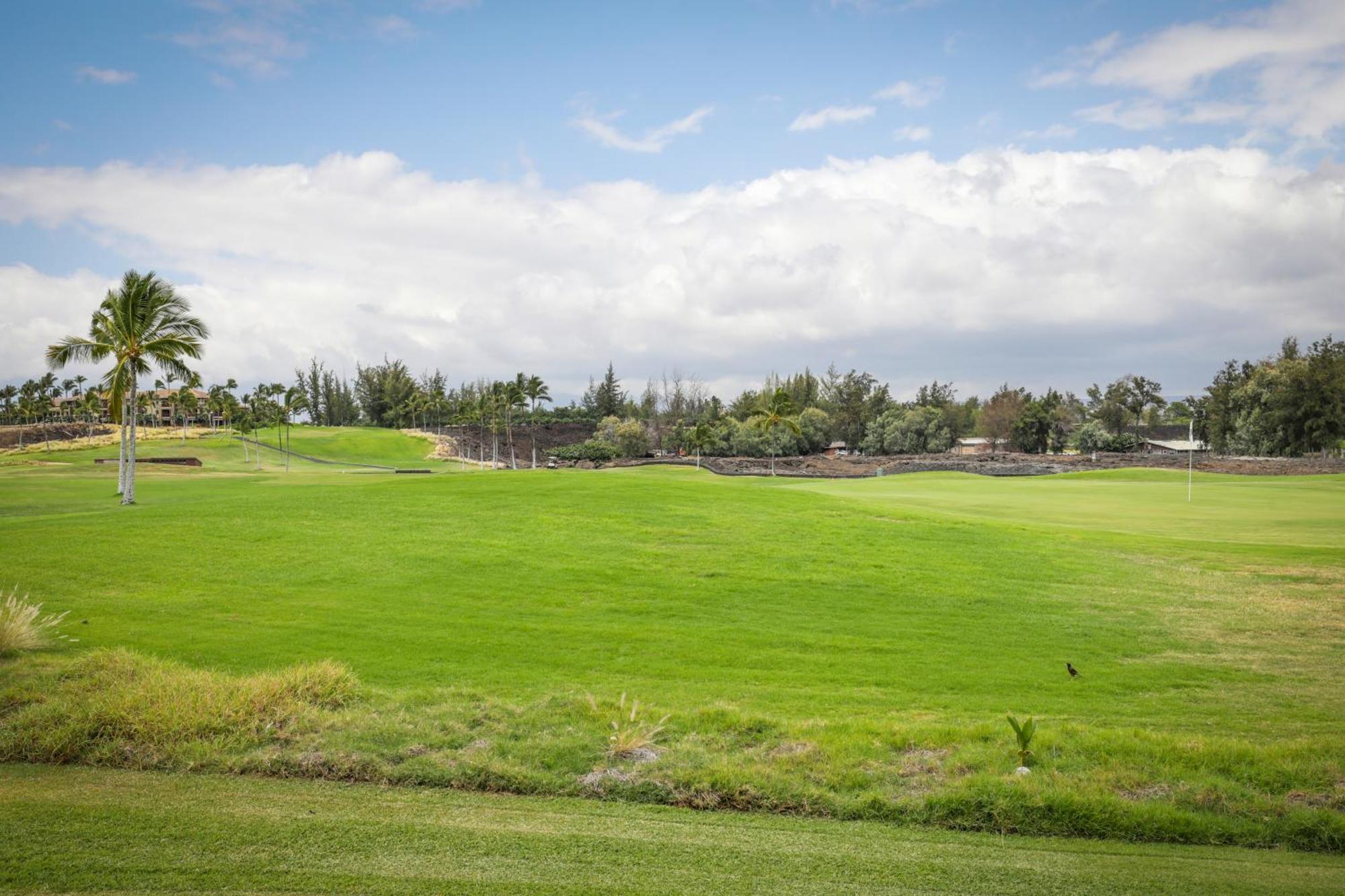 Fairway By Outrigger * Waikoloa