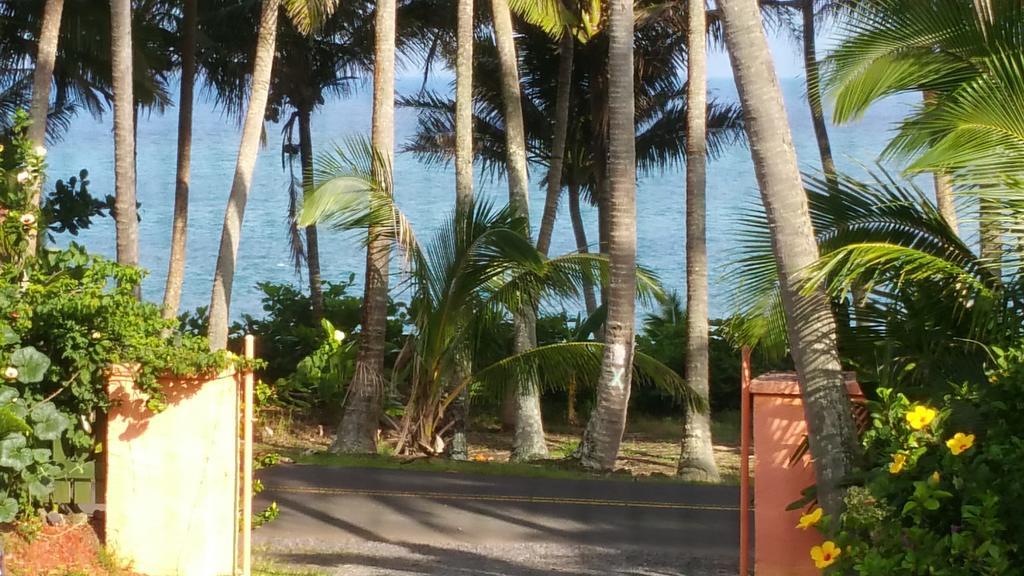 Holiday home Whale House At Kehena *