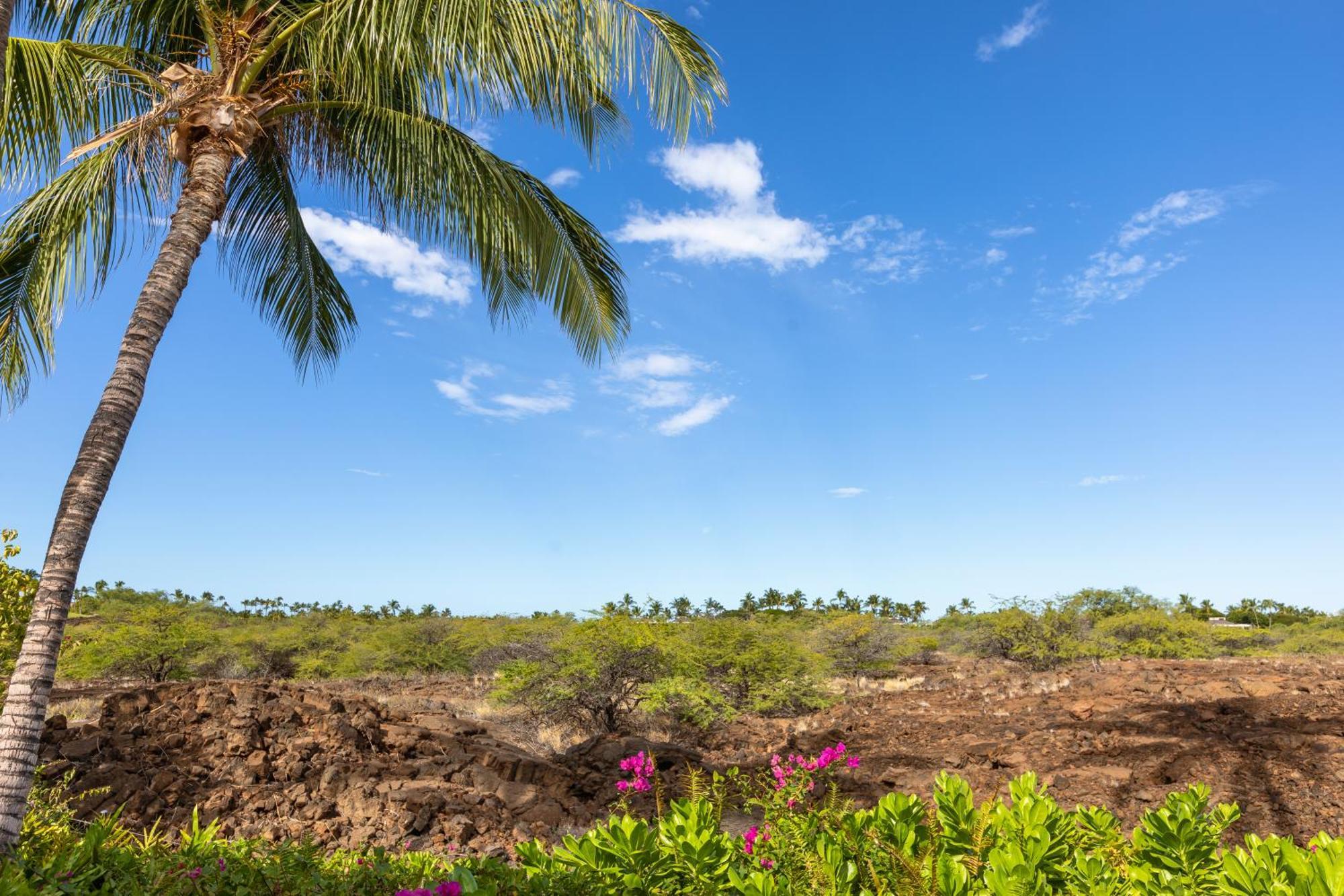 Mauna Lani Palm D-2 Corner Unit Historic View Holiday home