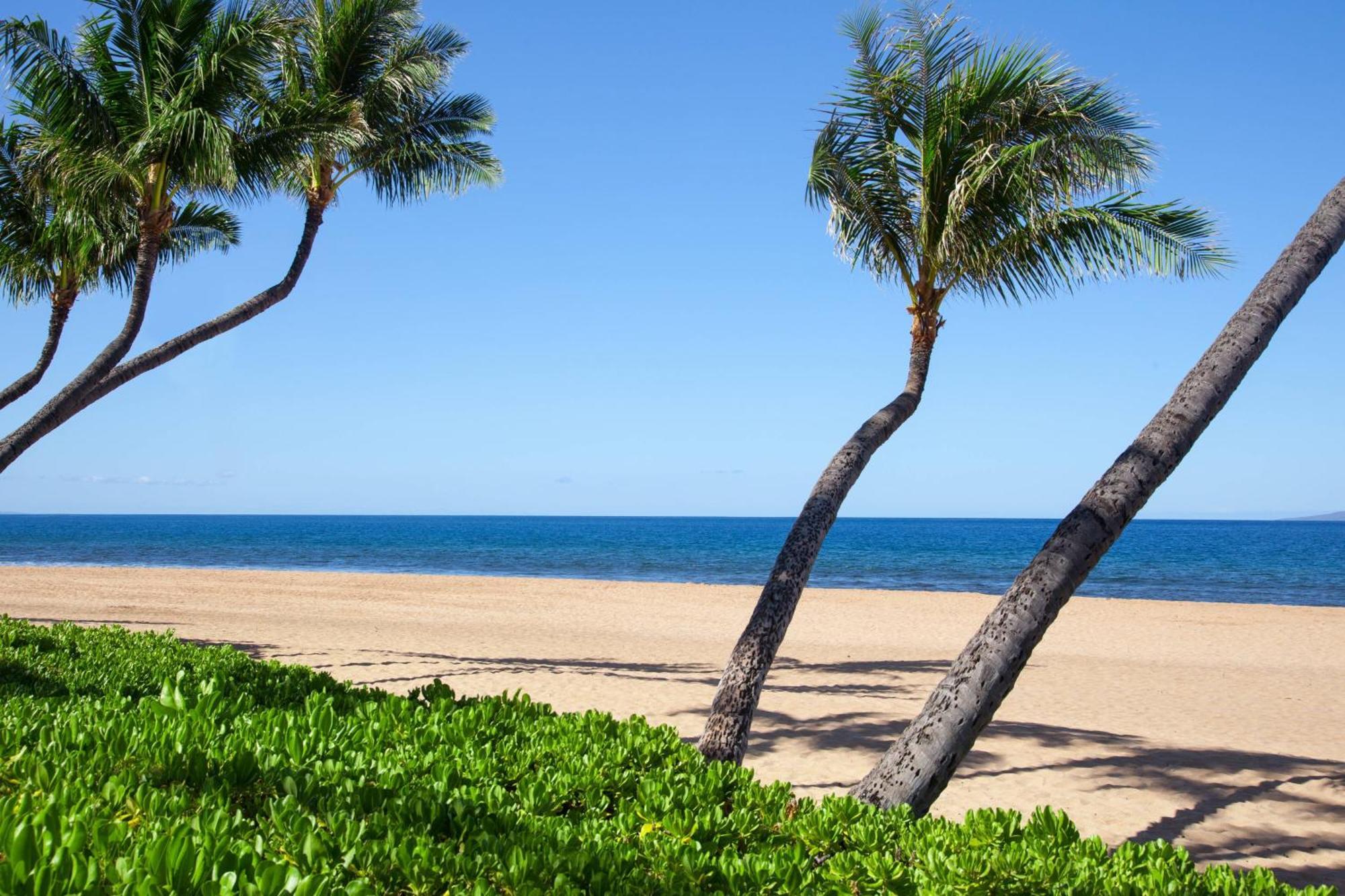 Marriott's Maui Ocean Club - Molokai, Maui & Lanai Towers 4*